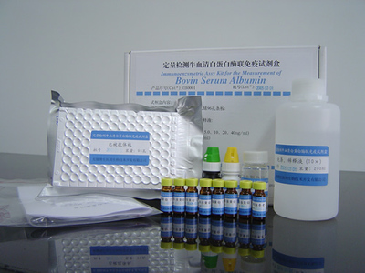 IL-1β檢測試劑價格與品牌對比 R&D、RB、IBI、Invitrogen進(jìn)口/國產(chǎn)綜合分析